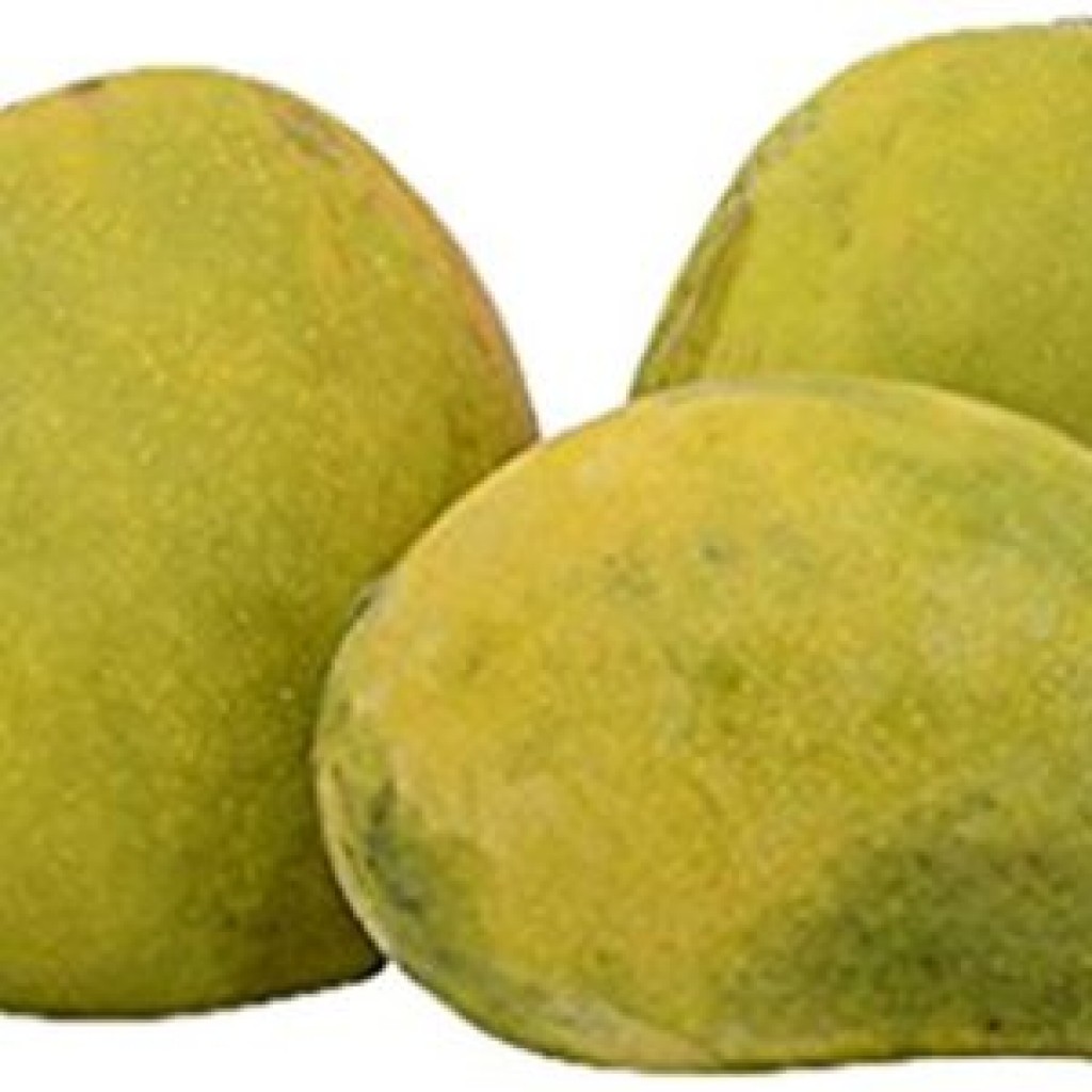 Himayath Mango – EXCELLENT INNOVATIONS GROUP (PTY) LTD